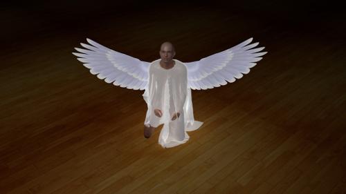 Wings Angel
