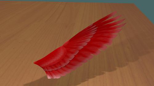 Wings
