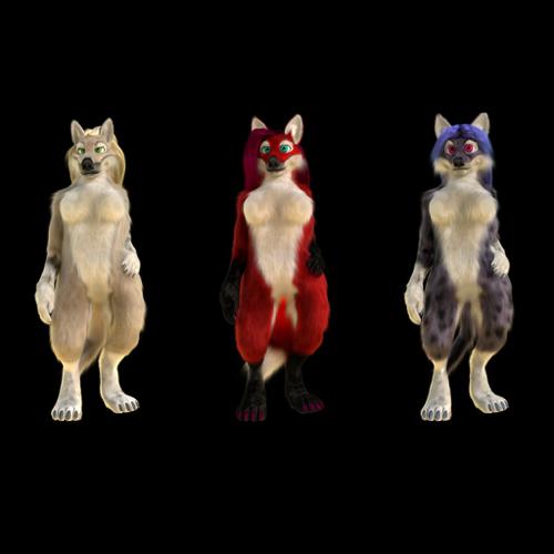 Anthro wolf, fox, cat