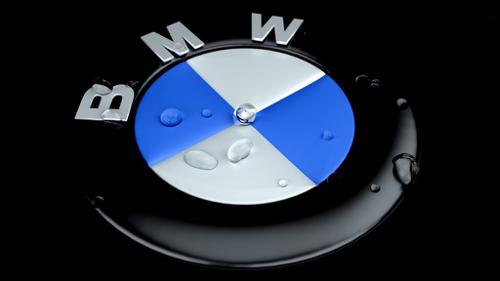 BMW Logo