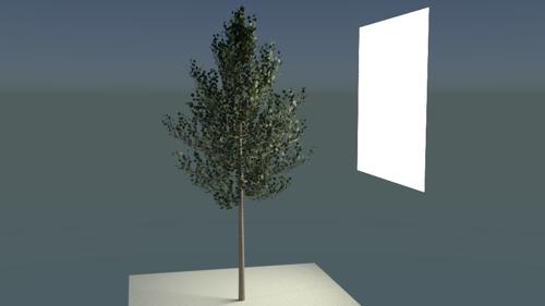 Low-Poly Tree