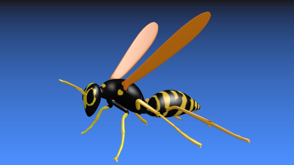 Wasp