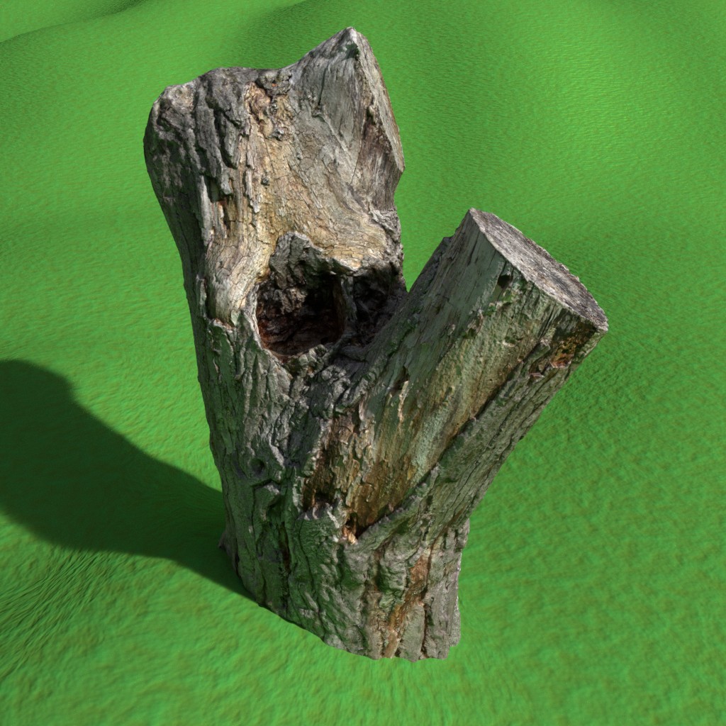 tree stump (photoscanned)