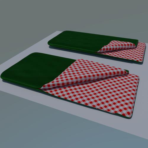Sleeping Bag