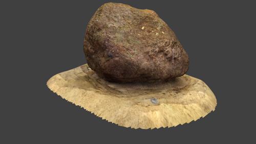 Scanned Rock 3