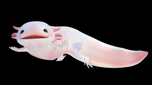 Axel The Axolotl