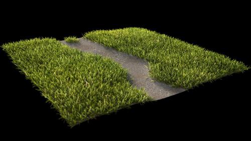 Realistic Grass Path (cycles)