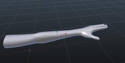 arm