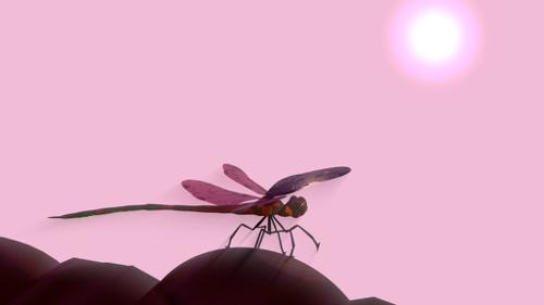 ```DRAGONFLY``` [RIGGED]