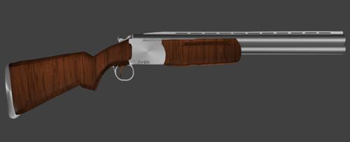 First Shotgun