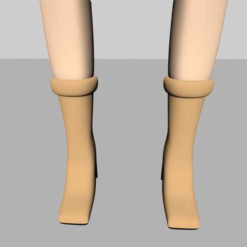 High Class Female Long Shoes