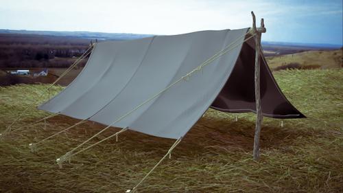 CGC Classic: Pup Tent