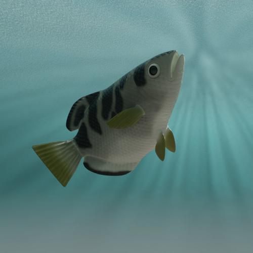 Rigged Archer Fish