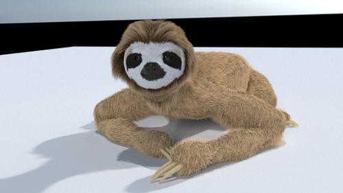 Sloth Simple Rigged