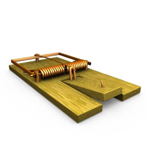 mouse trap