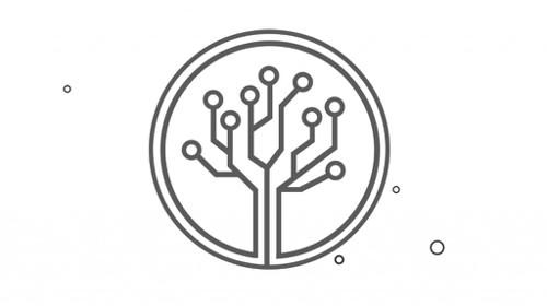 Motion Graphics