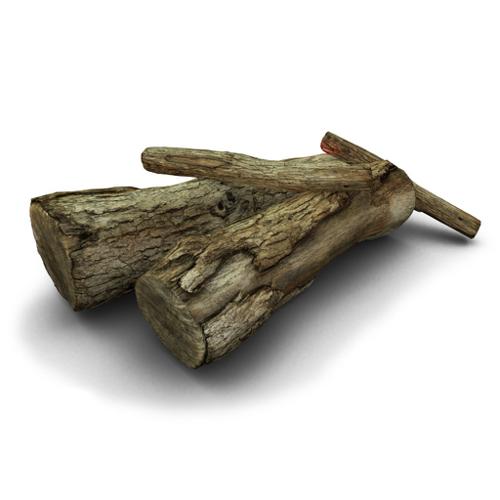 Logs (hi-res part of Sizzling Cauldron still life)