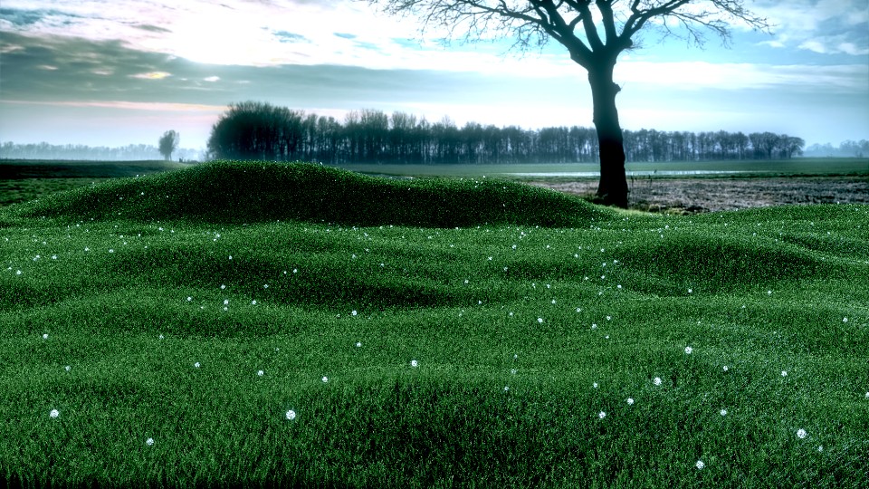 grass,hdr