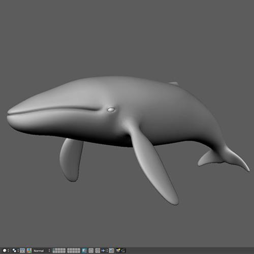 Blue Whale