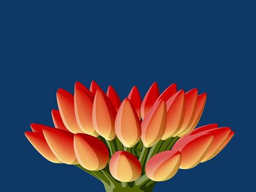 Nice Flower
