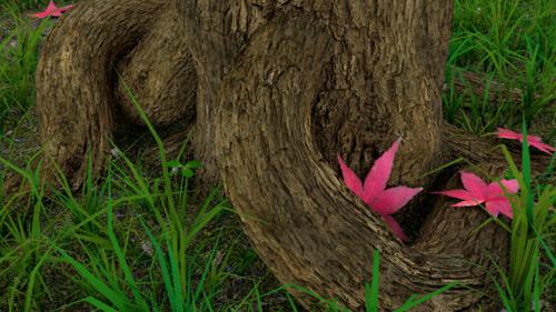 Tree trunk in forest