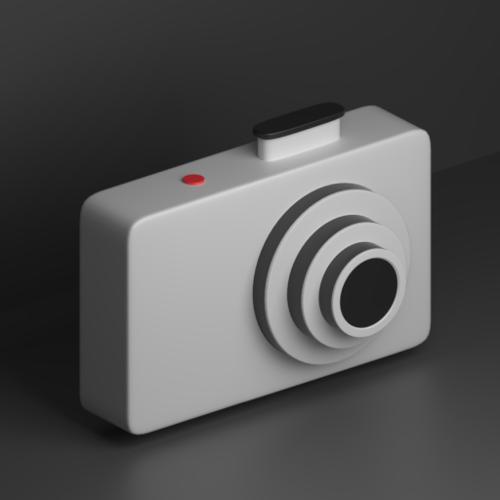 Braun Camera