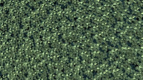 Particle NO texture leaves - animated wall of leaves
