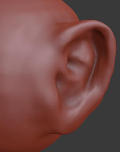 Ear