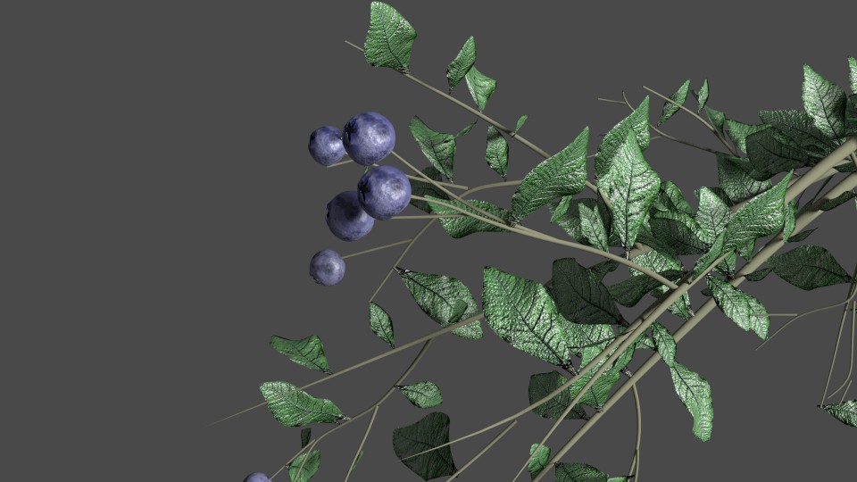 Blueberry_Shader