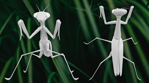 CGC Classic: Praying Mantis