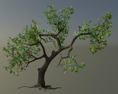 Rigged Tree