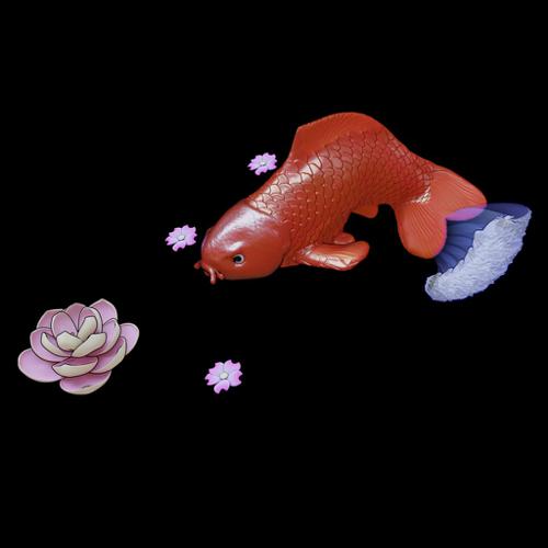 Koi