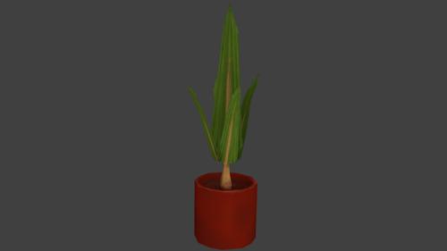 plant on vase
