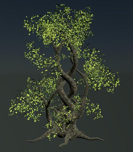 Intertwined Tree