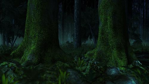 Forest