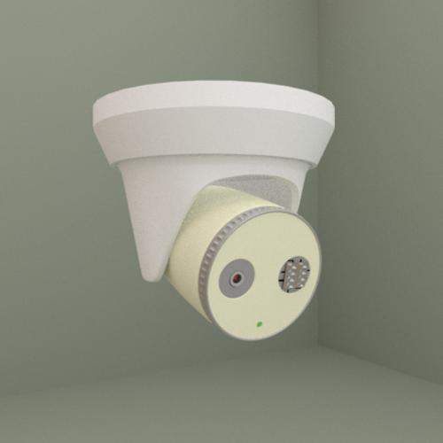Two Eyed Security Camera