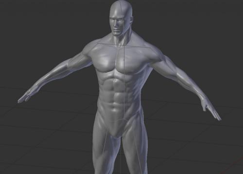 Human Male Base Mesh with armature