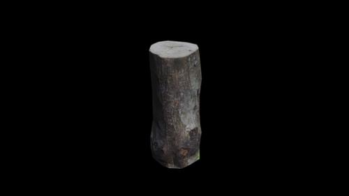 tree stump lowpoly