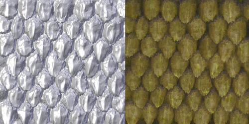 dragon skin