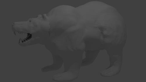 bear