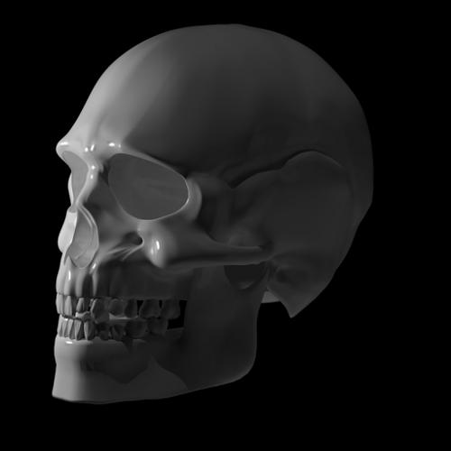 Skull