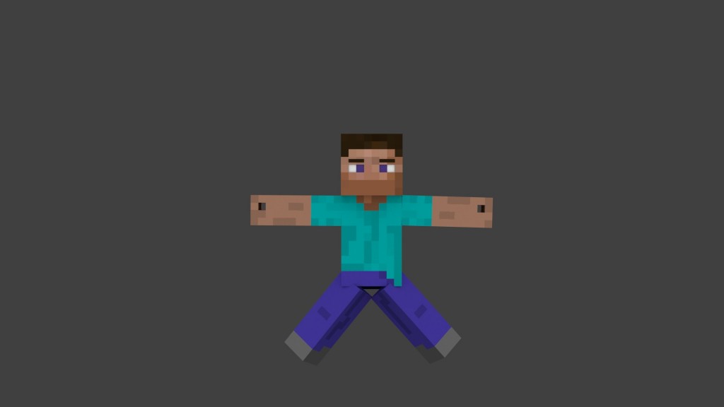 steve rig