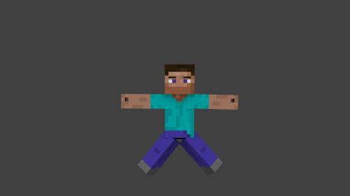 steve rig