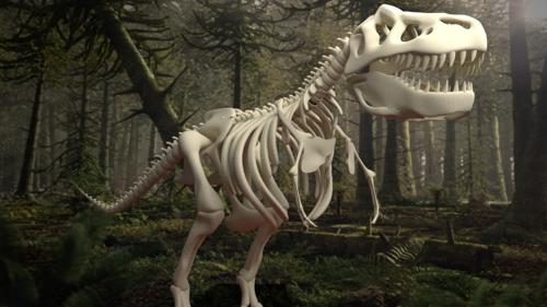 T-REX Dino TRex, Bones, Skeleton
