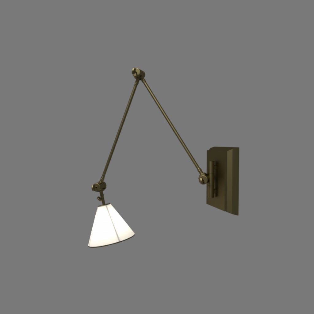 Adjustable Wall Light