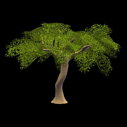 BGE Tree