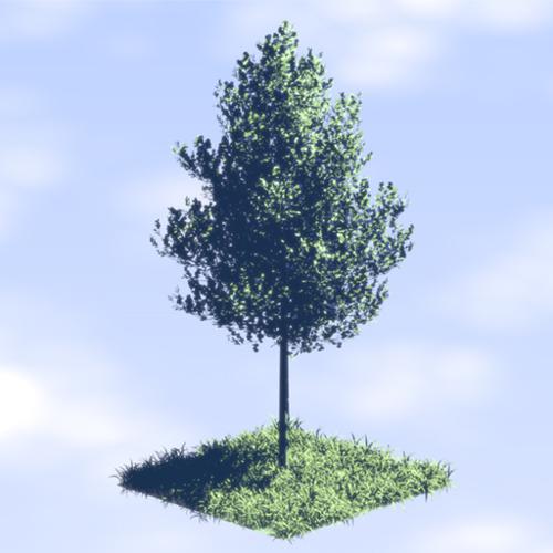 Non Photo Realistic Anime Tree