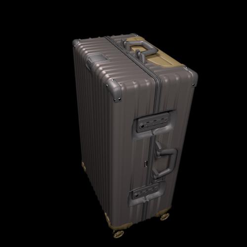 Rimova suit case