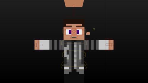 Minecraft rig (FREE)