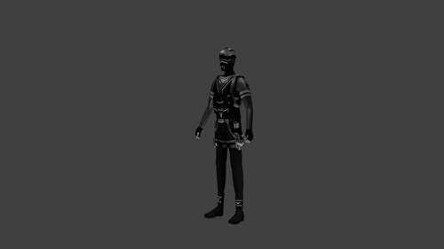 SWAT (Special weapons and tactics)
